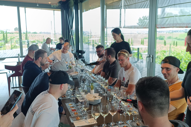 Thessaloniki:Where Fine Wines Meet Breathtaking Horizons