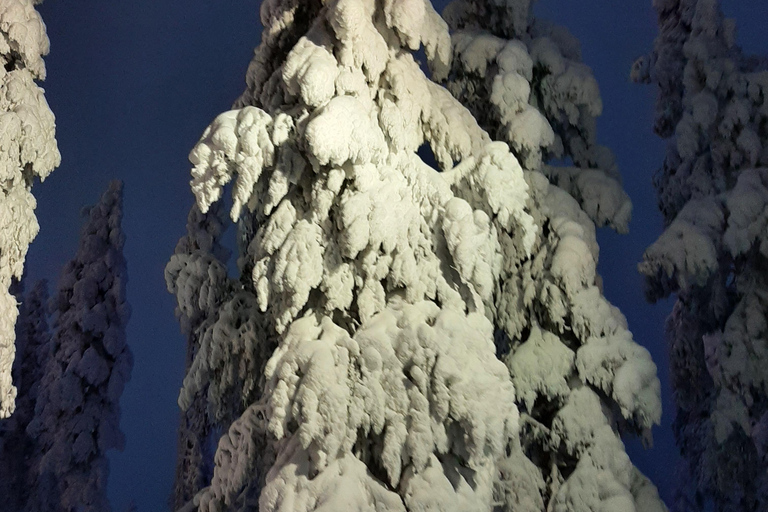 Levi: Fell Whisperer's Forest Skiing Tour with Campfire