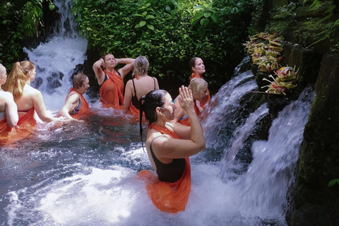 Pura Mangening: Water Temple Tour with Spiritual Cleansing Tour with Transfers to/from Central Bali