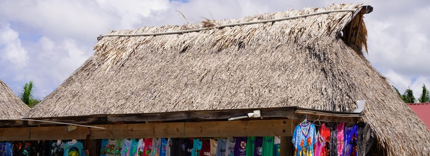 Roatan : Tour de l'île de l'Est avec mangrove