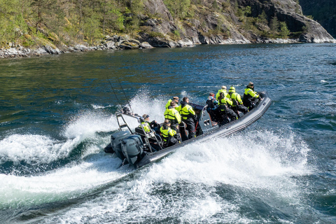 Bergen: Modalen RIB Fjord Safari with Lunch & Transfer