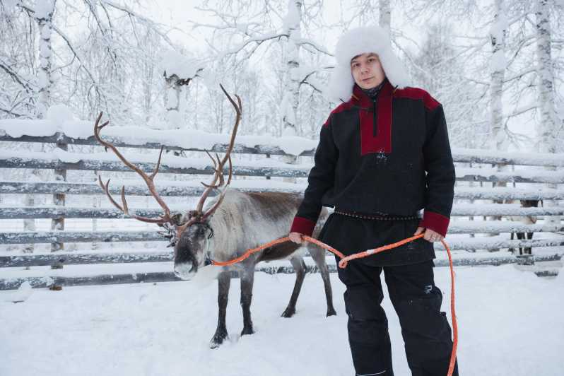 Rovaniemi: Husky & Reindeer Farm Visit with Snowmobile Ride