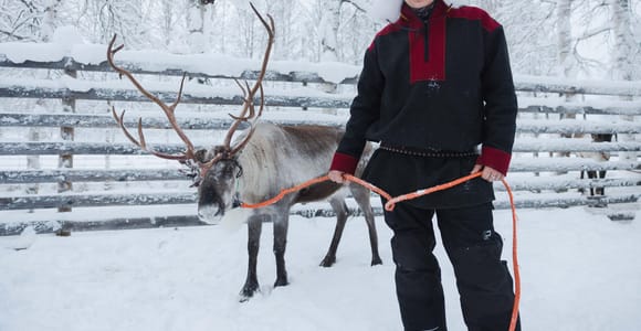 Rovaniemi: Husky- und Rentier-Erlebnis mit Schneemobil-Fahrt
