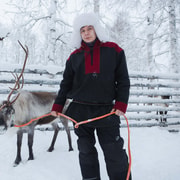 Rovaniemi: Experiencia con huskies y renos con paseo en moto de nieve