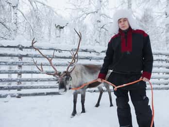 Husky i renifery z przejażdżką skuterem śnieżnym