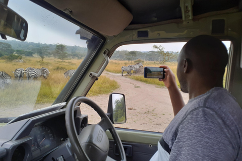 Uganda: 10-dagars safariäventyr från Entebbe