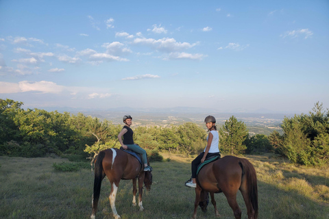 Horseback riding in Provence Luberon