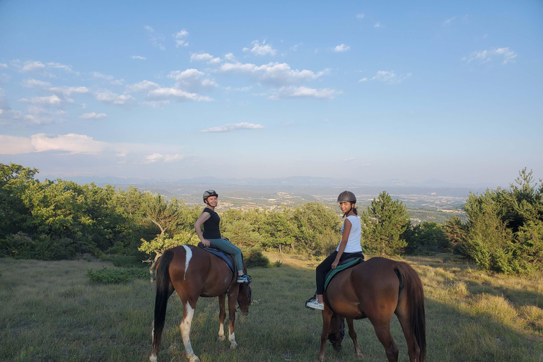 Horseback riding in Provence Luberon