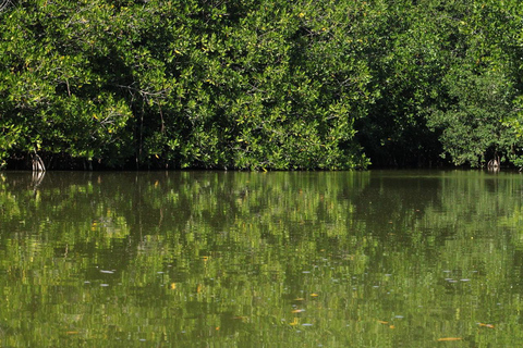 From Puerto Escondido: Day Trip to Chacahua National Park