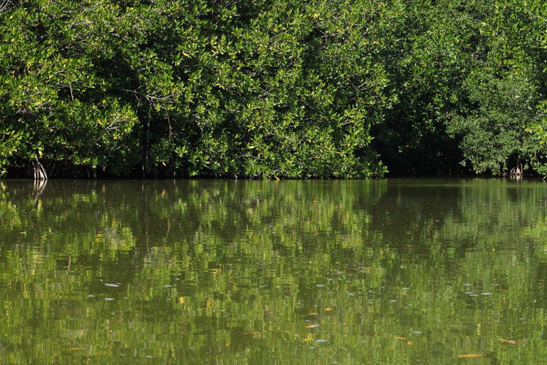 From Puerto Escondido: Day Trip to Chacahua National Park