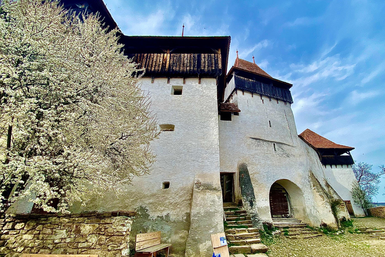 Brasov: Historic Gems Sighișoara, Rupea and Viscri Day Tour BRASOV: Historic Gems Sighișoara, Rupea and Viscri Day Tour
