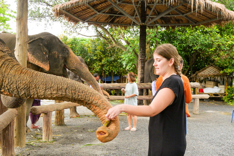 Krabi: Ao Nang Elephant Sanctuary Tour