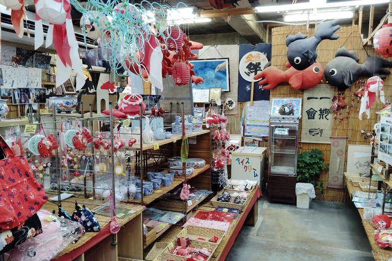 Nara: Discover Koriyama’s Goldfish Charm - 2-Hour