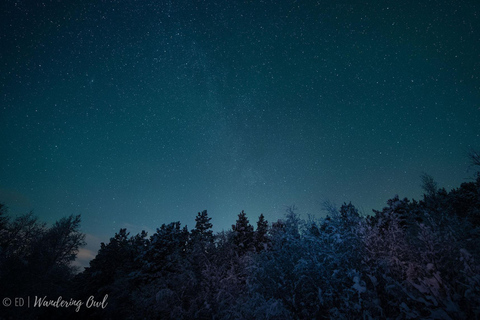 Night Star Walk on Snowshoes in the Finnish Wilderness