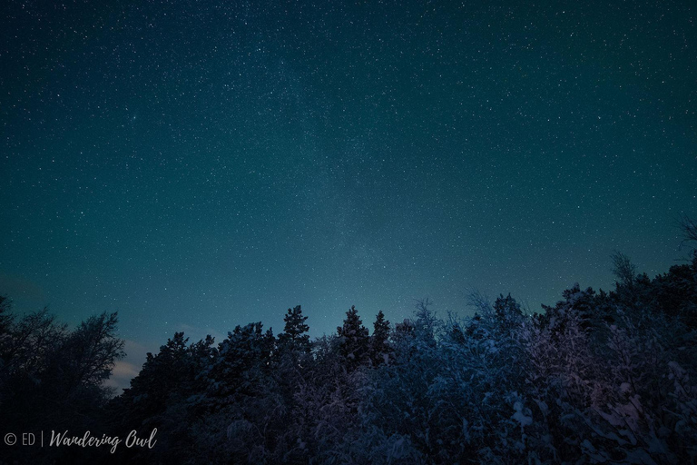 Night Star Walk on Snowshoes in the Finnish Wilderness