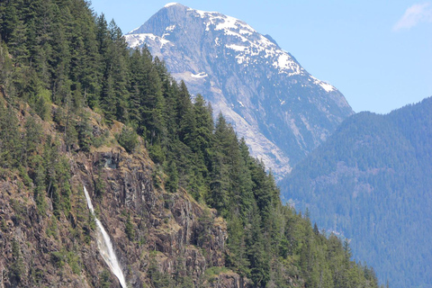 Campbell River: Spring Bear Watching & Waterfalls Boat Tour