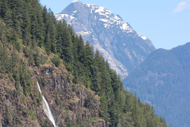 Campbell River: Spring Bear Watching & Waterfalls Boat Tour