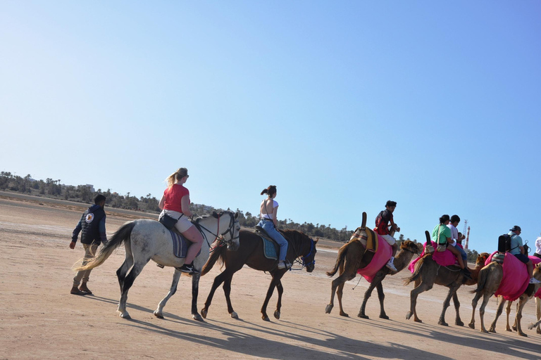 DJERBA : CHAMEAU ET CHEVAL (2H30).