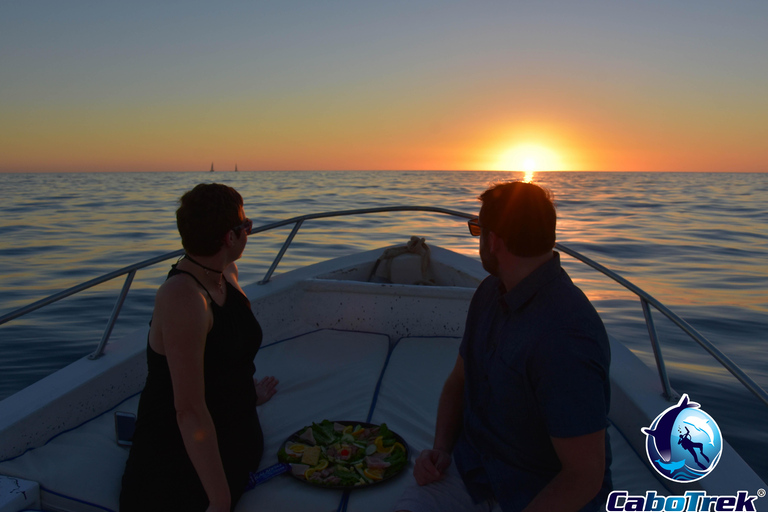 Sunset Whale Watching Cruise in Cabo San Lucas