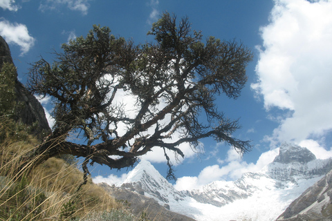 Paron Lake Day Trip and Huascaran National Park