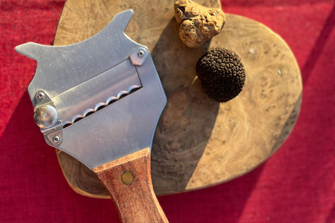 45 min from Milano/Genova: Truffle Hunting + Trattoria Lunch