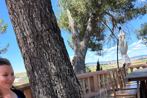 Da Valencia: Degustazione di vini e visita alla Cueva de Turche