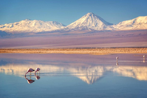 Desierto de Atacama: Refrescante Flotación en Laguna Cejar y Puesta de Sol