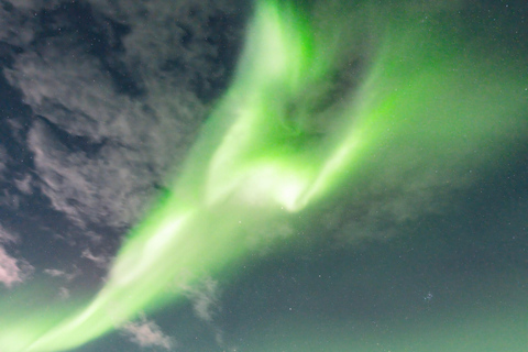 Abisko: Excursión con raquetas de nieve para ver auroras boreales con cena