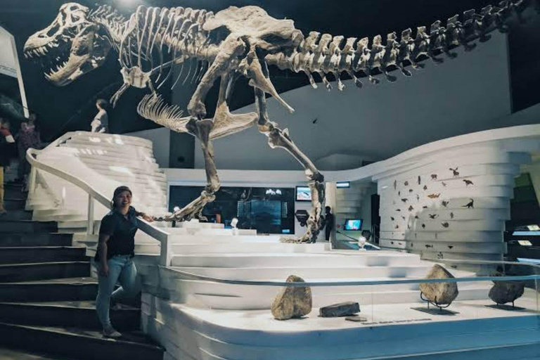 Manila Urban Charms &amp; Gondola Bliss Cityscape Tour