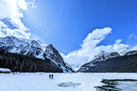 Emerald Lake, Lake Louise, Johnston Canyon, Banff Town Tour