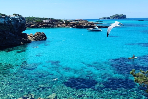 Descubre las playas de Ibiza en un barco sin licencia 8H