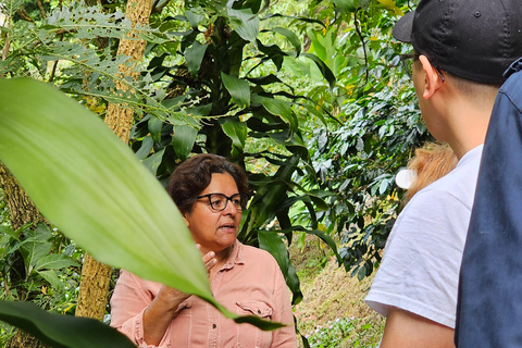 Ancestral Coffee Experience:Become a Coffee Farmer for a Day