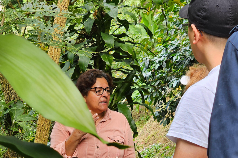 Ancestral Coffee Experience:Become a Coffee Farmer for a Day