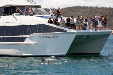 Hobart: River Derwent Guided Cruise on a Catamaran