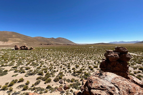 San Pedro de Atacama: 4-Day Uyuni Salt Flats Tour