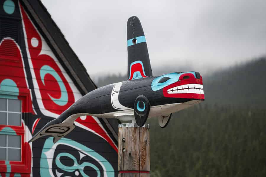 Seattle: Whale Watching-Tour mit Teeverkostung, geführt von Indigenen. Foto: GetYourGuide Seattle: Whale Watching-Tour mit Teeverkostung, geführt von Indigenen. Foto: GetYourGuide