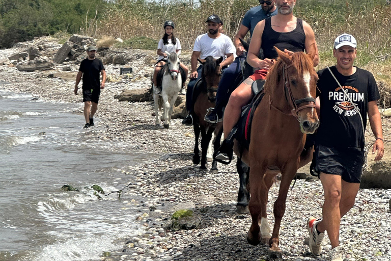 Rhodes: Unforgettable Horseback Riding Adventure Morning horse riding in the countryside of Kremasti.