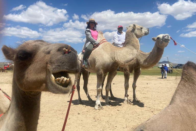 3-Day Central Mongolia Waterfall, Ancient Capital, Semi Gobi