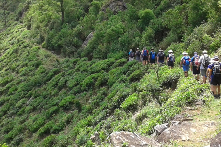 Sri Lanka Holidays with one week trekking the pekoe trail