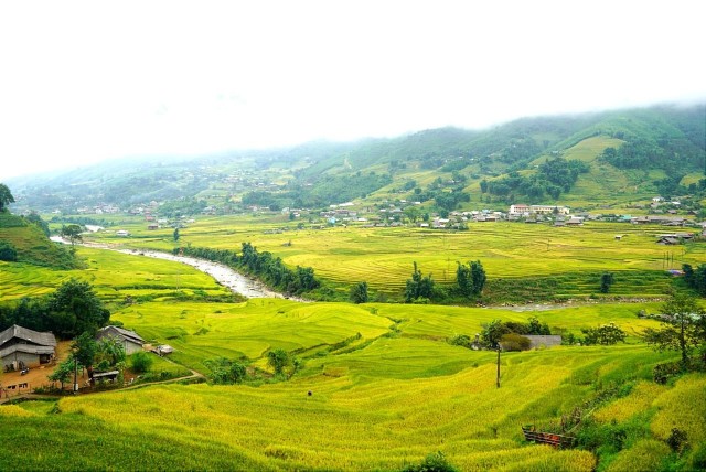 Visit Half Day Visit Y Linh Ho,Lao Chai,Ta Van Trekking With Lunch in Sapa, Lào Cai