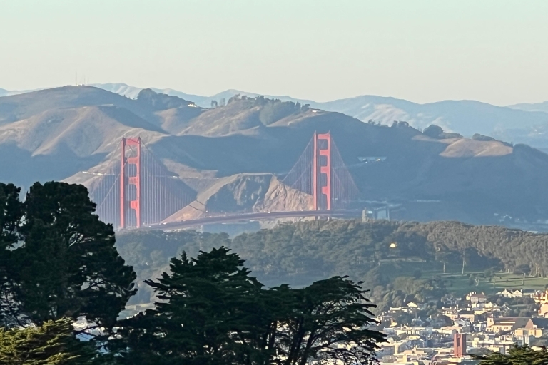 San Francisco Excursión privada de 4 horas en coche