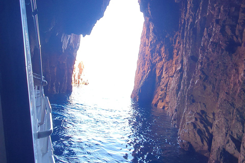 Scandola: visite de la réserve naturelle au départ de Porto (France)