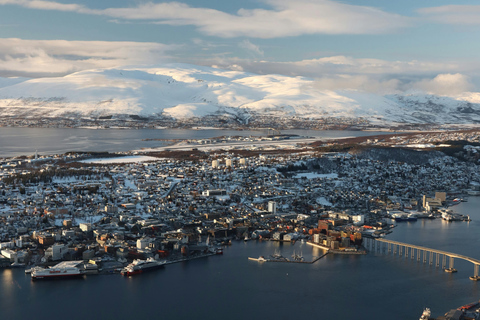 特罗姆瑟：弗洛伊山徒步导览之旅，欣赏壮丽景色Tromsø: Private Guided Hike to Mount Fløya (Snacks &amp; Drinks)