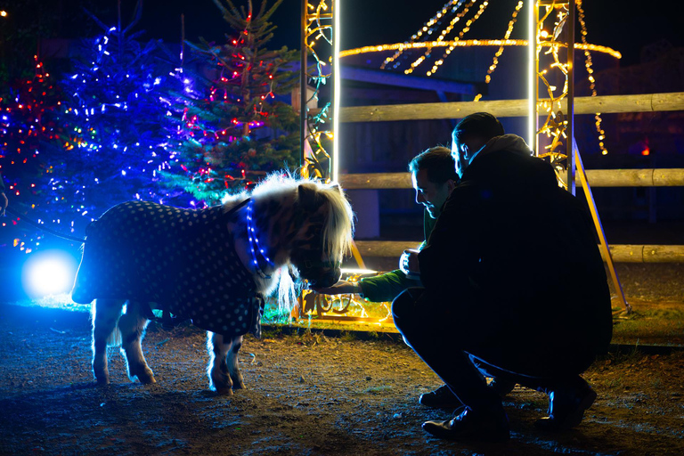 لوماجيكا ميونيخميونيخ: تذكرة دخول إلى منتزه لوماجيكا الخفيف في كافالونا