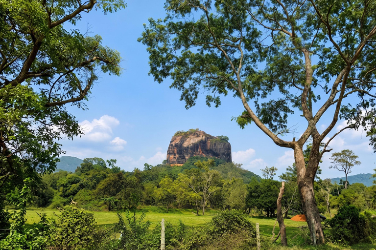 Colombo Airport → Sigiriya, Kandy, or Ella Private Car Tour Private Car with Driver – Up to 100 km
