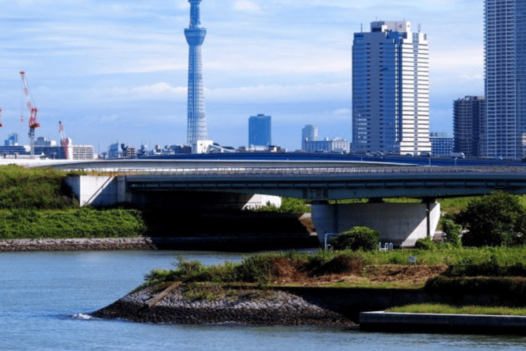 Niezapomniana całodniowa wycieczka prywatna do Tokio 23 Ward