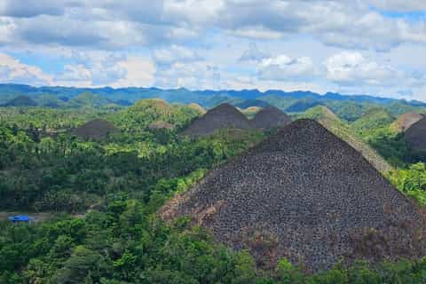 Napaling Reef, Panglao - Book Tickets & Tours | GetYourGuide