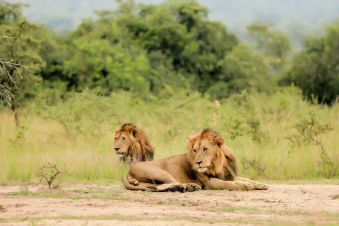 2 Days Akagera National Park Safari with Hot Air Balloon