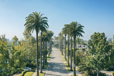 Los Angeles: Hollywood and Beverly Hills Open-Air Bus Tour