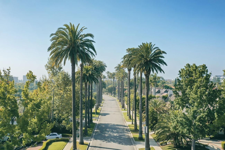 Los Angeles: Hollywood and Beverly Hills Open-Air Bus Tour